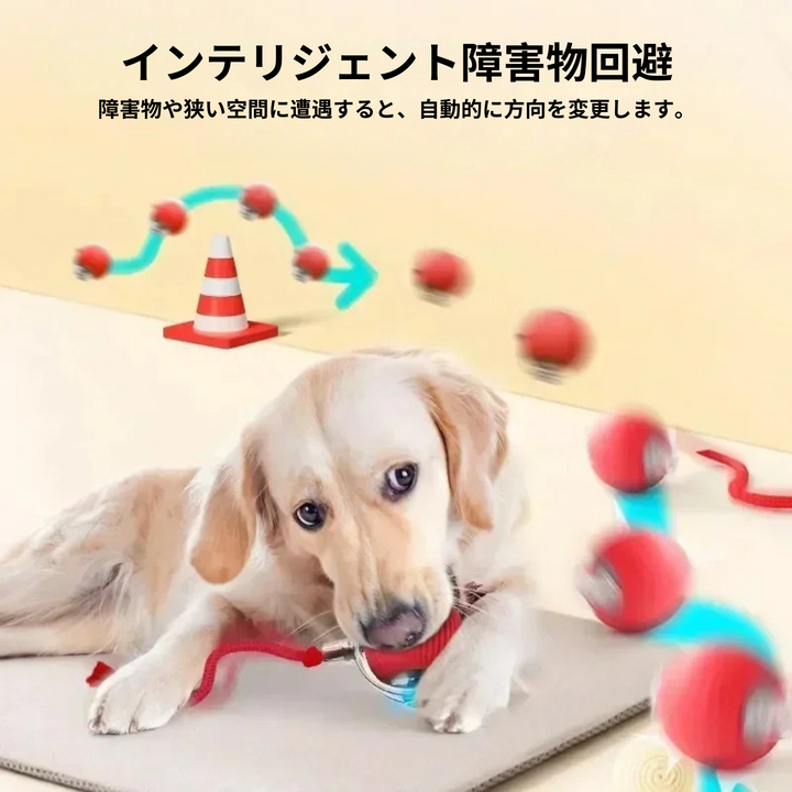 🎾✨ スマートペットボール