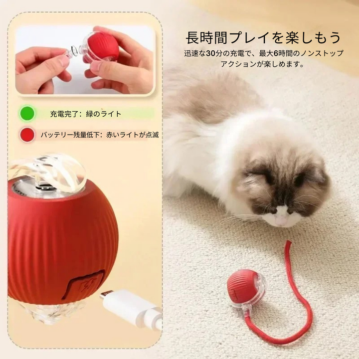 🎾✨ スマートペットボール