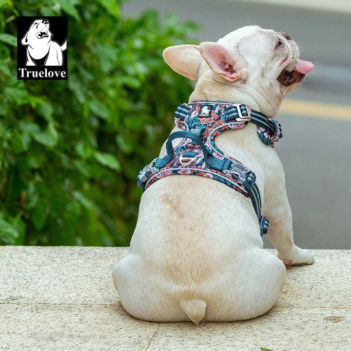 犬用お散歩リード – 安心＆快適なお出かけに！