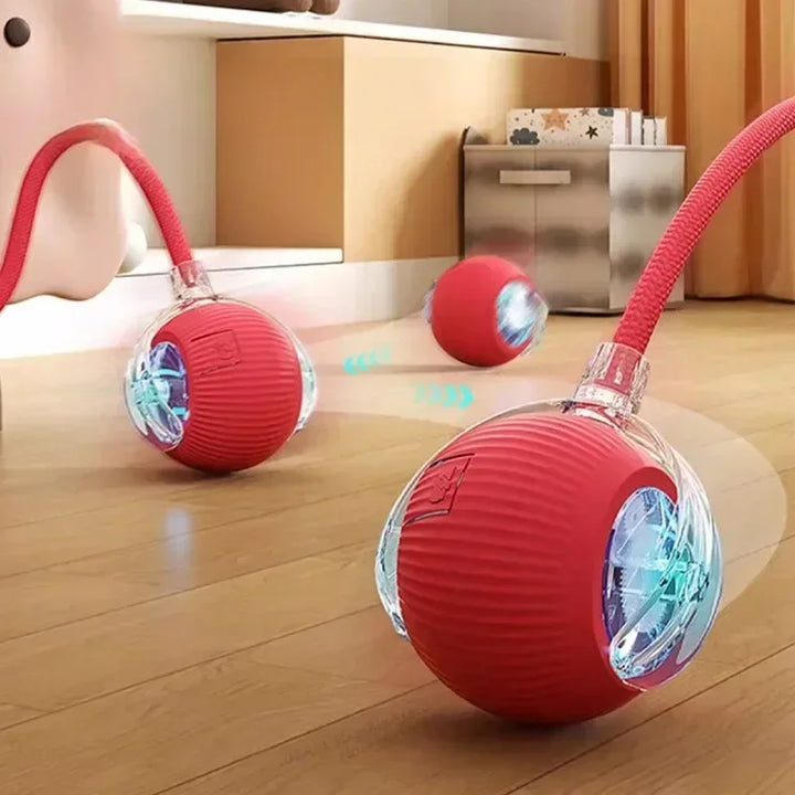 🎾✨ スマートペットボール